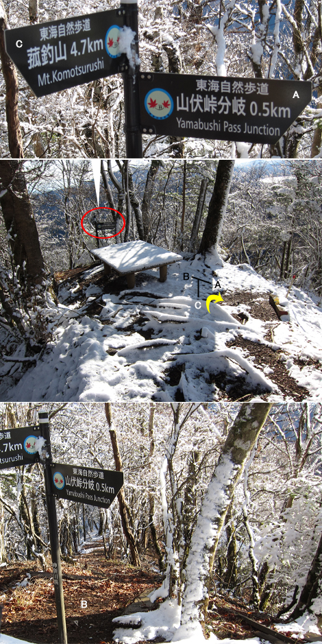 20191129hike (432)